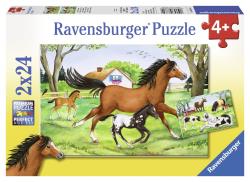 Ravensburger - Puzzles 2x24 p - Monde de chevaux