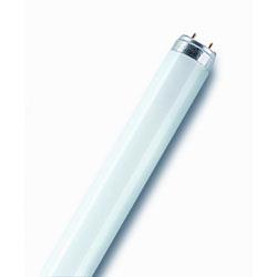 Tube fluorescent OSRAM Lumilux T8 L 36W830